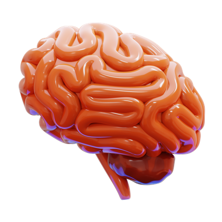 Cérebro  3D Icon