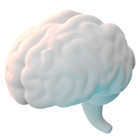 Cérebro  3D Icon