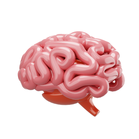 Cérebro  3D Icon