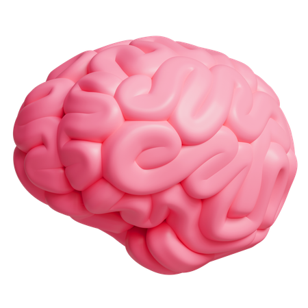 Cérebro  3D Icon