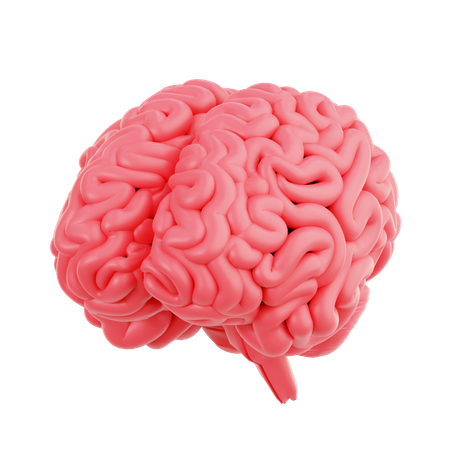 Cérebro  3D Icon