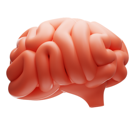 Cérebro  3D Icon