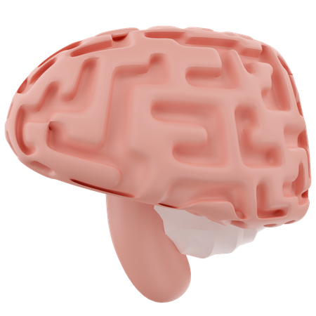 Cérebro  3D Icon