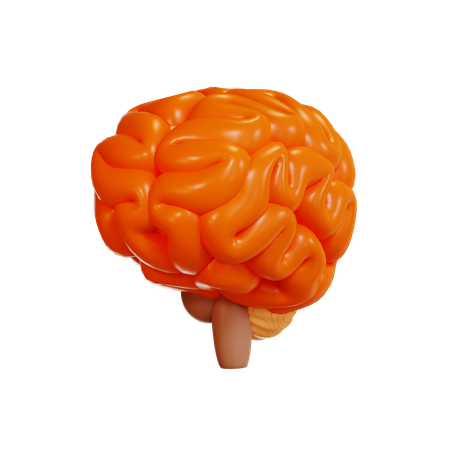 Cérebro  3D Icon