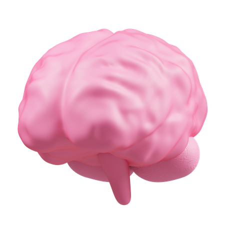 Cérebro  3D Icon