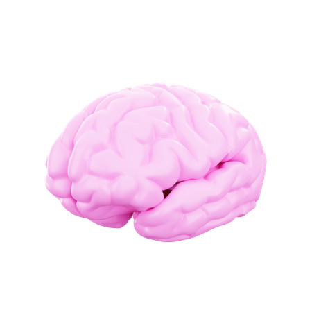 Cérebro  3D Icon