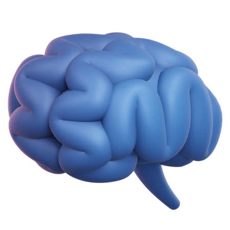 Cérebro  3D Icon