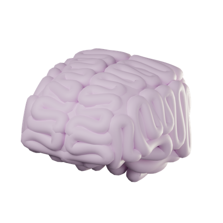 Cérebro  3D Icon