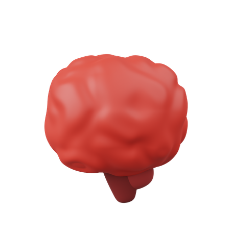 Cérebro  3D Icon