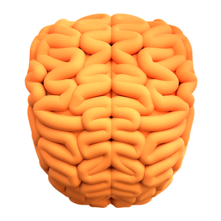 Cérebro  3D Icon
