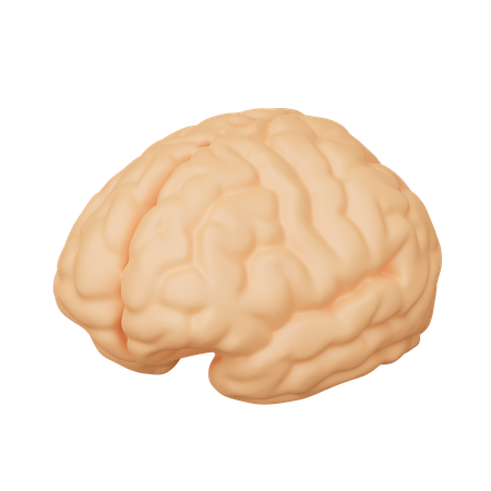 Cérebro  3D Icon