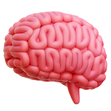 Cérebro  3D Icon