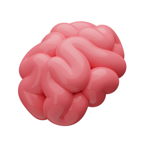 Cérebro  3D Icon