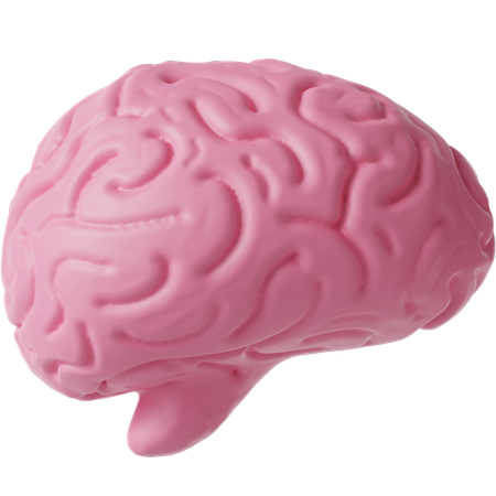 Cérebro  3D Icon