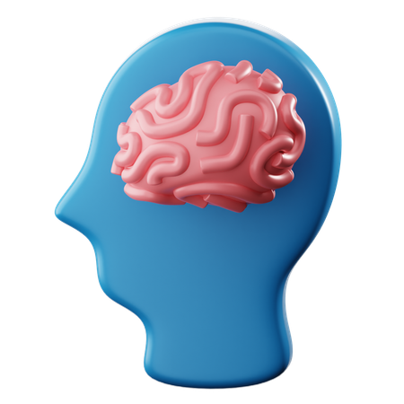 Cérebro  3D Icon