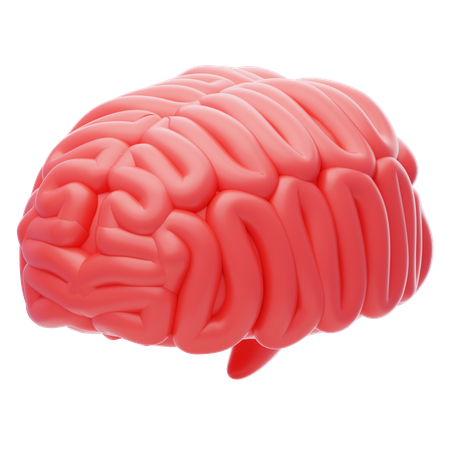 Cérebro  3D Icon