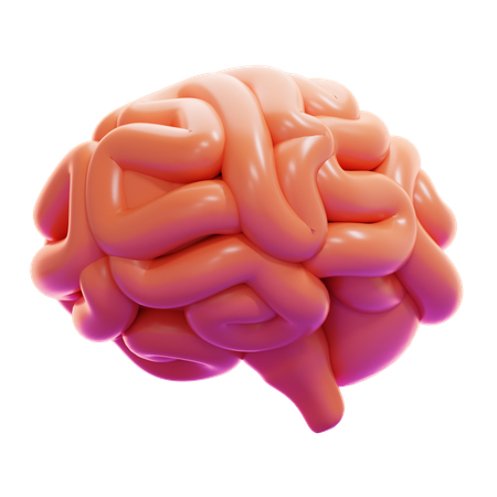 Cérebro  3D Icon
