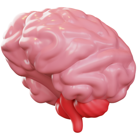 Cérebro  3D Icon