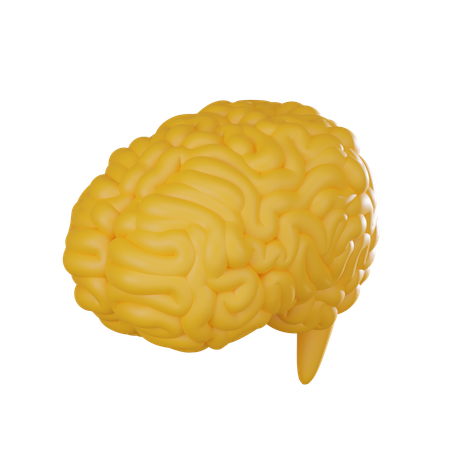 Cérebro  3D Icon