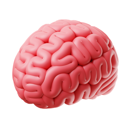 Cérebro  3D Icon