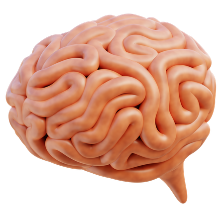 Cérebro  3D Icon