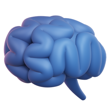 Cerebro  3D Illustration