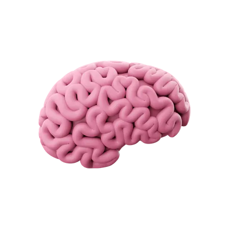 3 D Renderiza A Forma Do Cerebro Orgao Cerebral De Renderizacao 3 D 3 D Render Ideias E Inovacao Em Fundo Branco 3D Icon