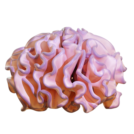 Coral cerebral  3D Icon