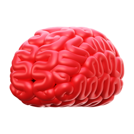 Cerebro humano  3D Icon