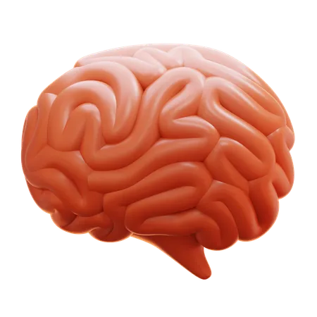 Cerebro humano  3D Icon