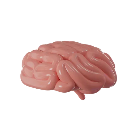 Cerebro humano  3D Icon