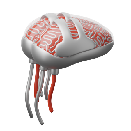 Cerebro robótico  3D Icon