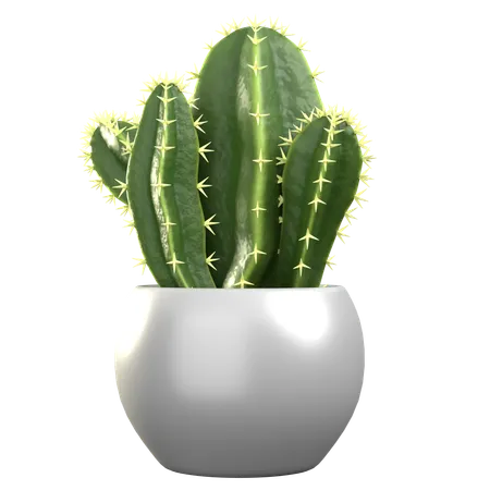 Cereus tetragonus  3D Icon