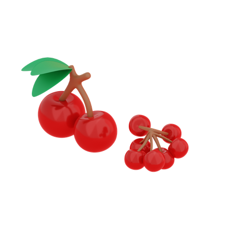 Cerise  3D Illustration