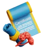 Certificate Scroll