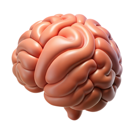 Cerveau  3D Icon