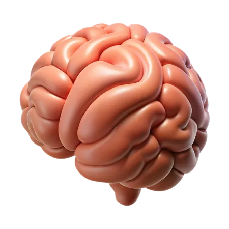 Cerveau  3D Icon