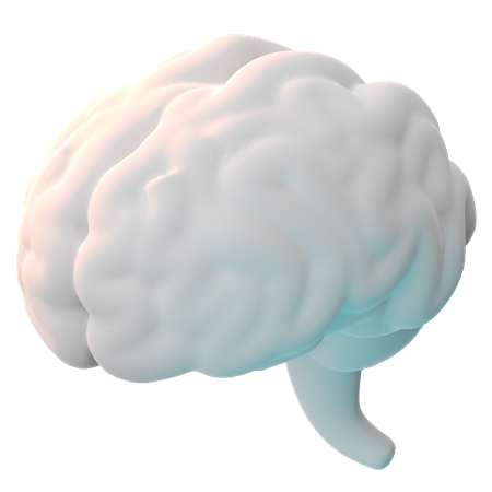 Cerveau  3D Icon