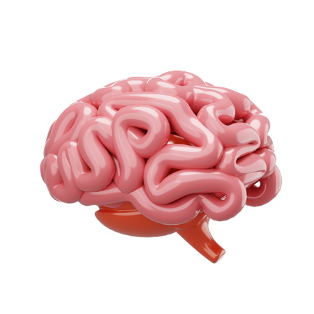 Cerveau  3D Icon