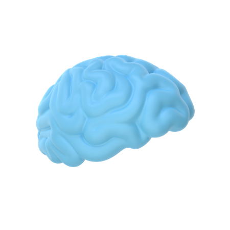 Cerveau  3D Icon