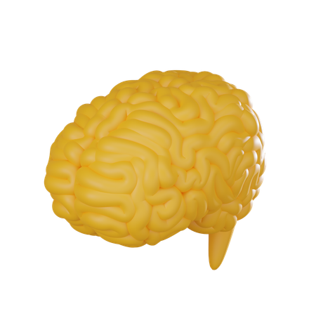 Cerveau  3D Icon