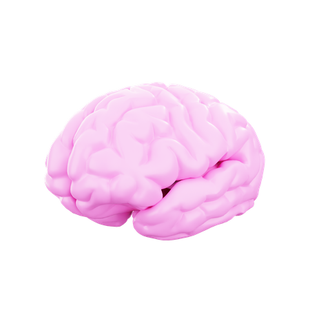 Cerveau  3D Illustration