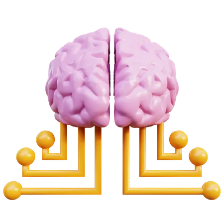 Cerveau  3D Icon