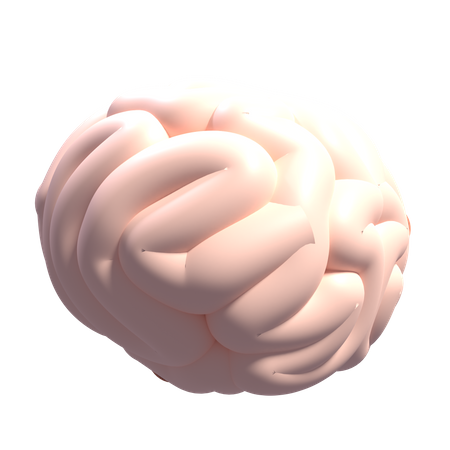 Cerveau  3D Icon