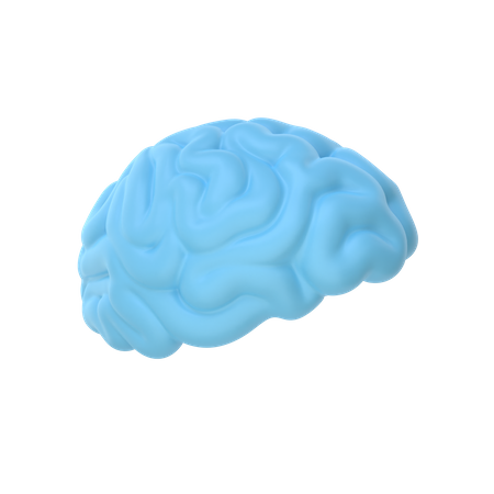 Cerveau  3D Icon