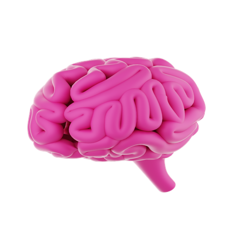 Cerveau créatif  3D Icon