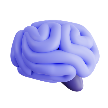 Cerveau humain  3D Icon