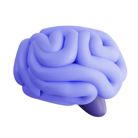 Cerveau humain  3D Icon