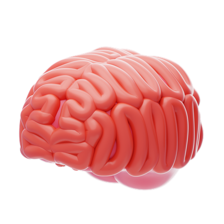 Cerveau humain  3D Icon