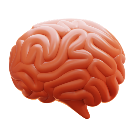 Cerveau humain  3D Icon